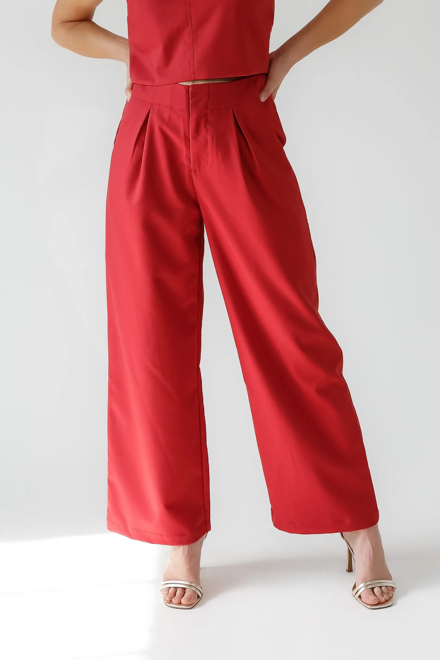 Hollis Garnet Pleated Wide Leg Trouser - Final Sale